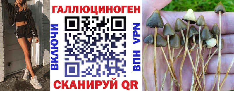 Галлюциногенные грибы Psilocybine cubensis Славск